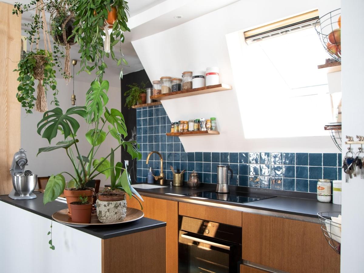 Trang trí nhà bếp nhỏ với cây xanh là một ý tưởng đầy thú vị