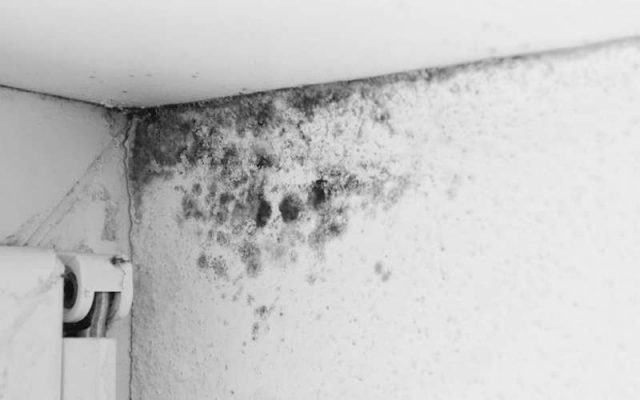 Ống nước rò rỉ làm tường bị ẩm mốc